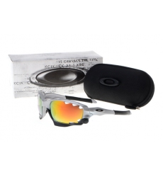 Oakley Glasses-0057