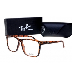 Ray-ban Glasses-1338