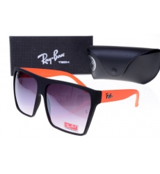 Ray-ban Glasses-1494