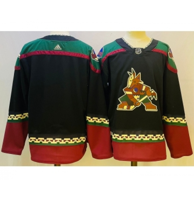 Men's Arizona Coyotes Blank Black Stitched Jersey