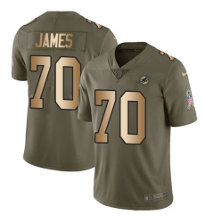 Men's Nike Miami Dolphins #70 Ja'Wuan James Limited Olive/Gold 2017 Salute to Service NFL Jersey